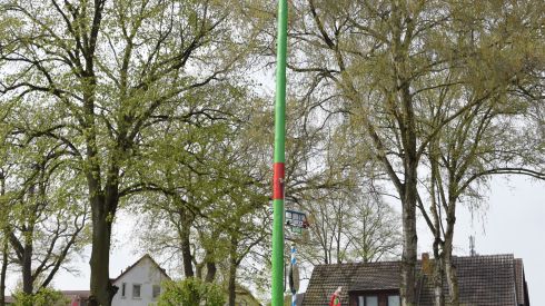 Maibaumaufstellung durch Bürgerbusverein Oyten